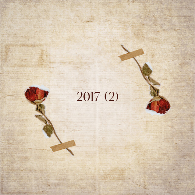 2017 (2)