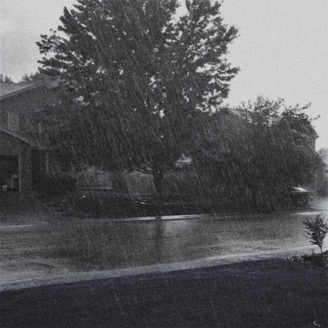 Rainy Day