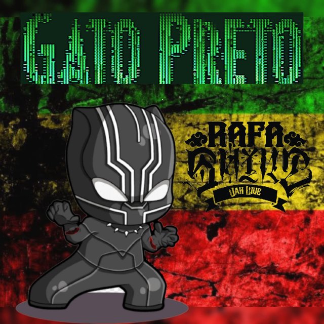 Gato Preto