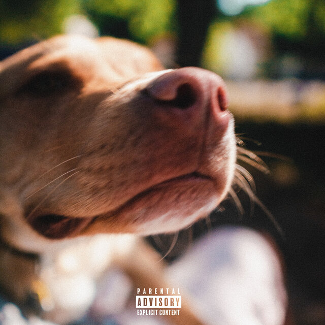 Dog Days
