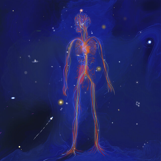 Ontogenesis