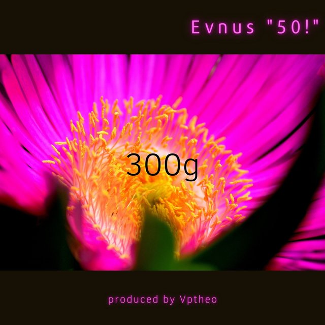 300g 