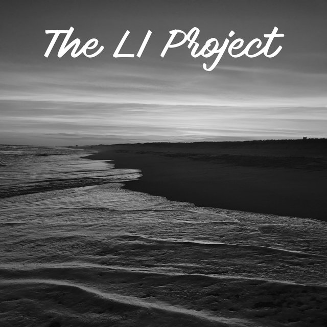 The LI Project
