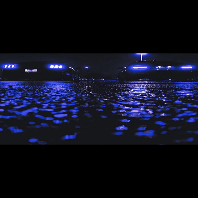 Night Life