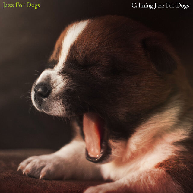 Jazz For Dogs