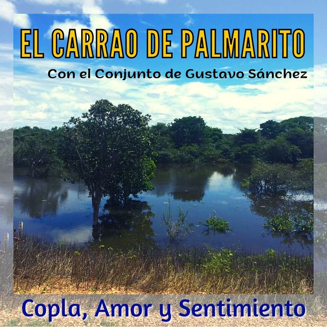 Copla, Amor y Sentimiento Con el Conjunto de Gustavo Sánchez