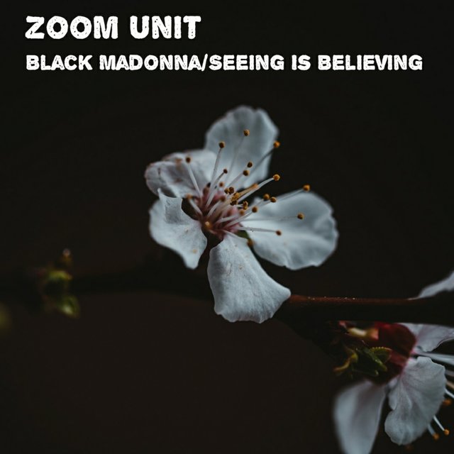 Black Madonna / Seeing is Believing
