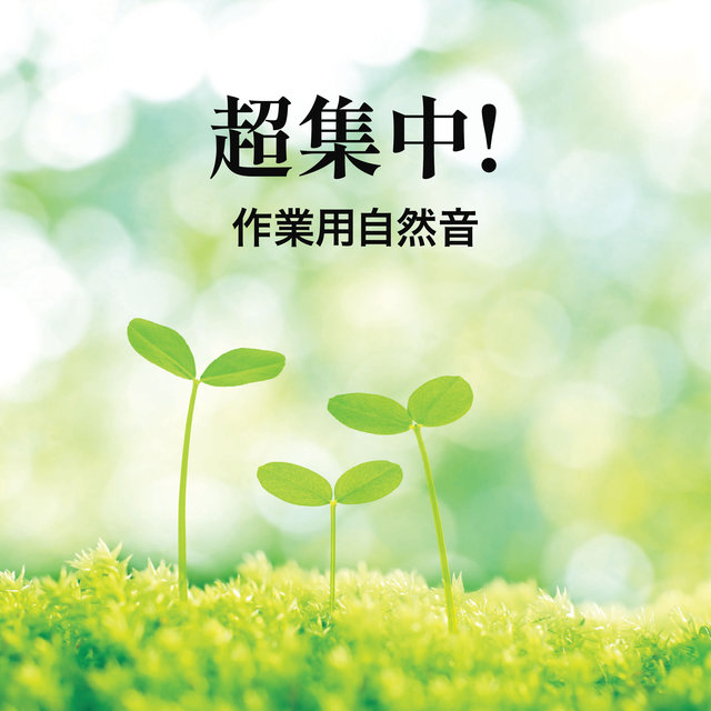 超集中!作業用自然音