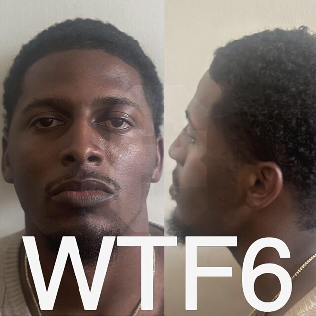 WTF Volume 6