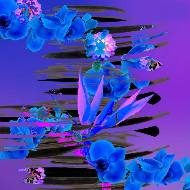 Stretched Spring