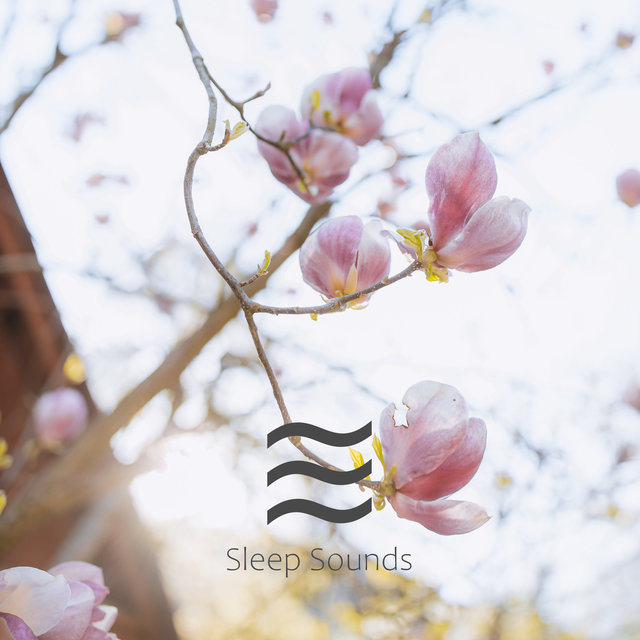 Restful Dreaming Baby White Noises