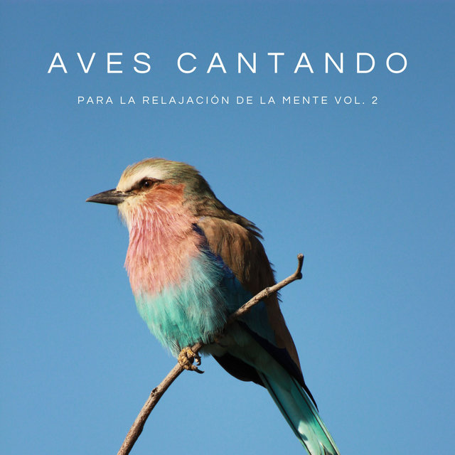 Aves Cantando Para La Relajación De La Mente Vol. 2
