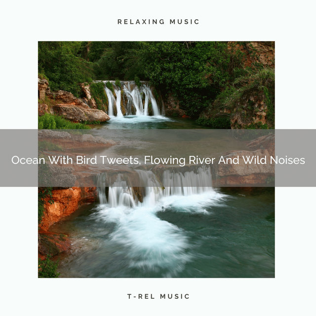 Ocean With Bird Tweets, Flowing River And Wild Noises