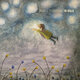 Cover art for album In volo by Michele Perruggini, Mirko Signorile, Giorgio Vendola, Gabriele Mirabassi