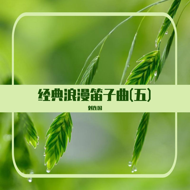 经典浪漫笛子曲(五)