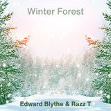 Winter Forest