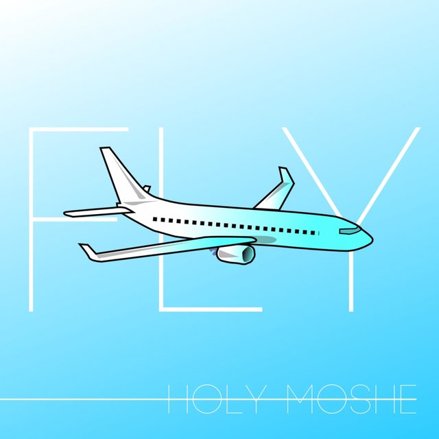 Fly
