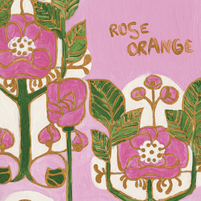 Rose orange
