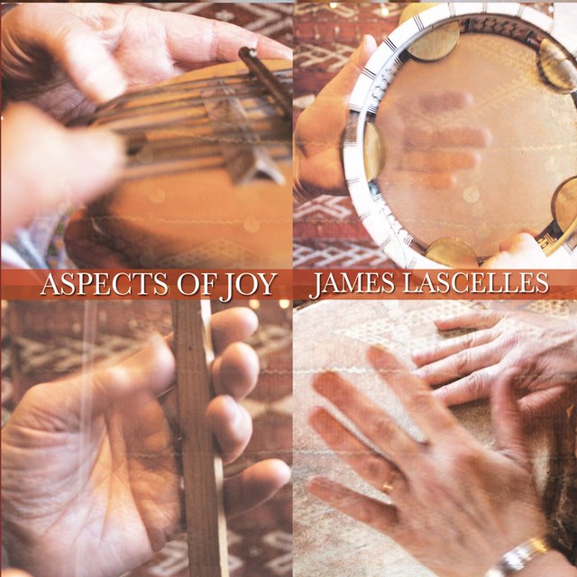 Aspects of Joy