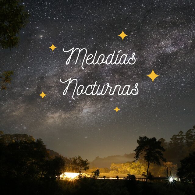 Melodías Nocturnas: Sonidos Suaves Para Dormir Profundamente