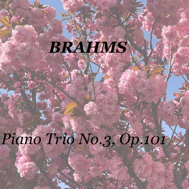 Brahms: Piano Trio No.3, Op.101