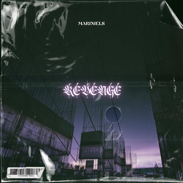 Revenge