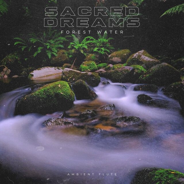 Forest Water