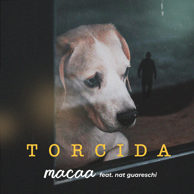 Torcida