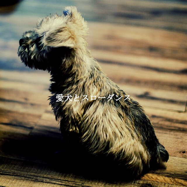 愛犬とスローダンス