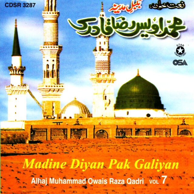 Madine Diyan Pak Galiyan, Vol. 7