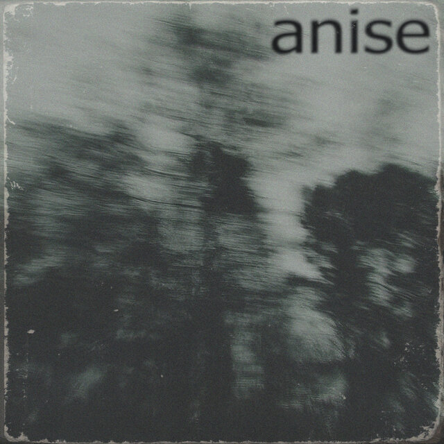 Anise