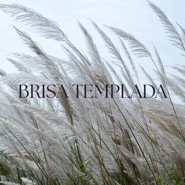 Brisa Templada