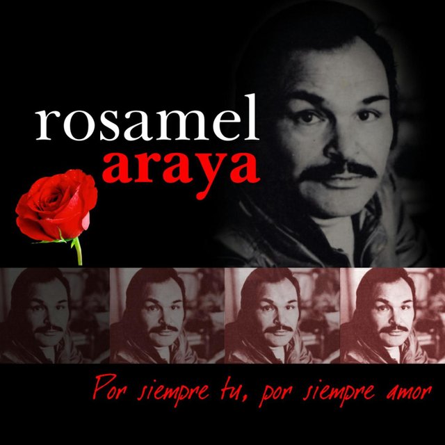 Por Siempre Tu, Por Siempre Amor