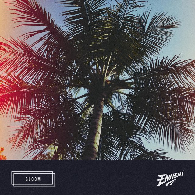 Bloom
