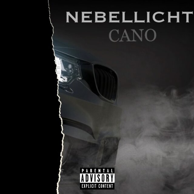 Nebellicht