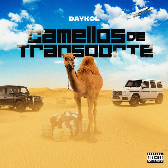 Camellos de Transporte