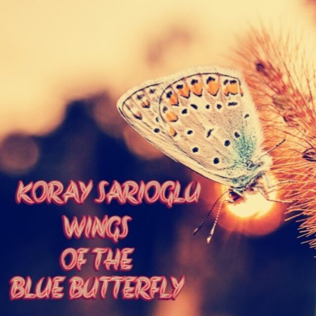 Wings of The Blue Butterfly