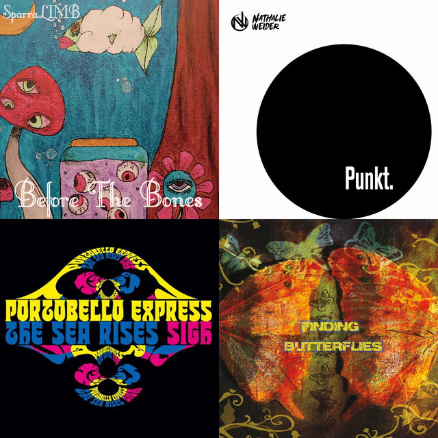 Cover art for album We Are The Indie Champions by User