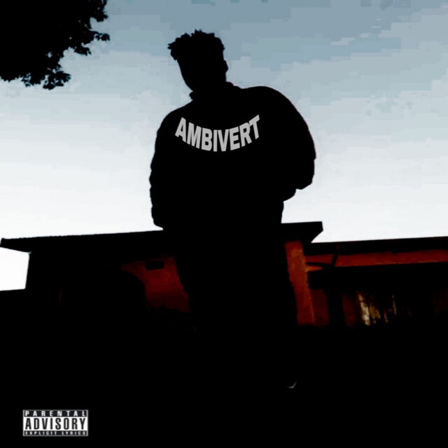 Ambivert
