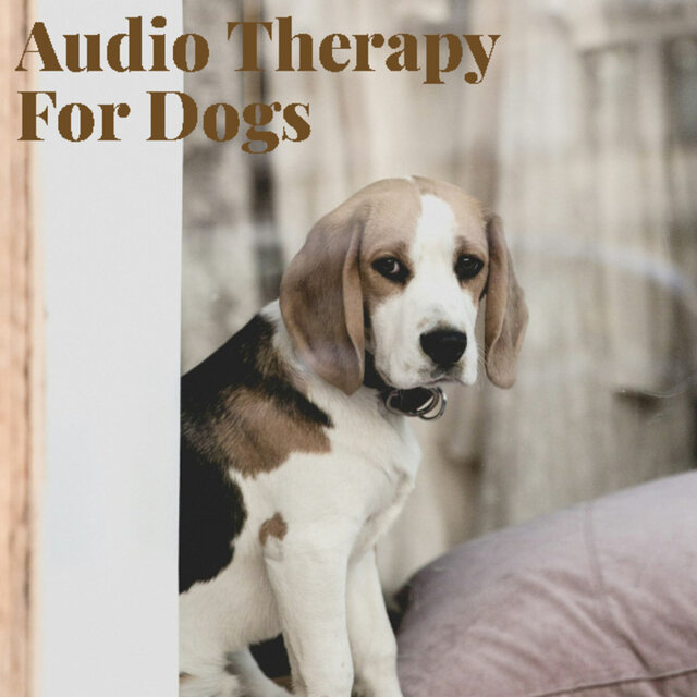 Audio Therapy for Dogs