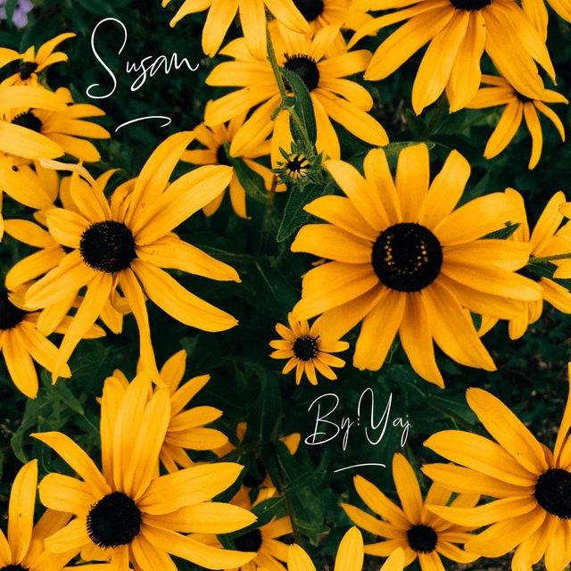 Susan
