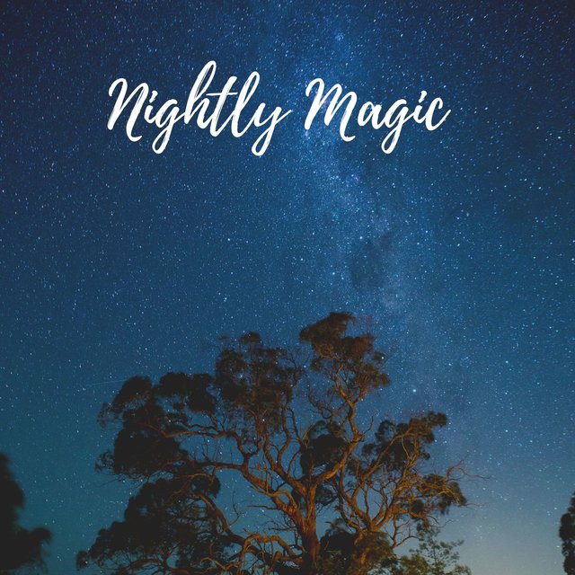 Nightly Magic