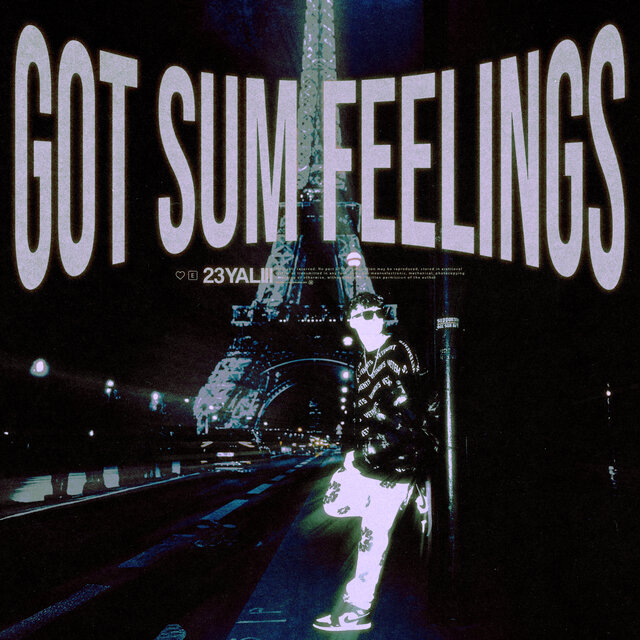 GOT SUM FEELINGS