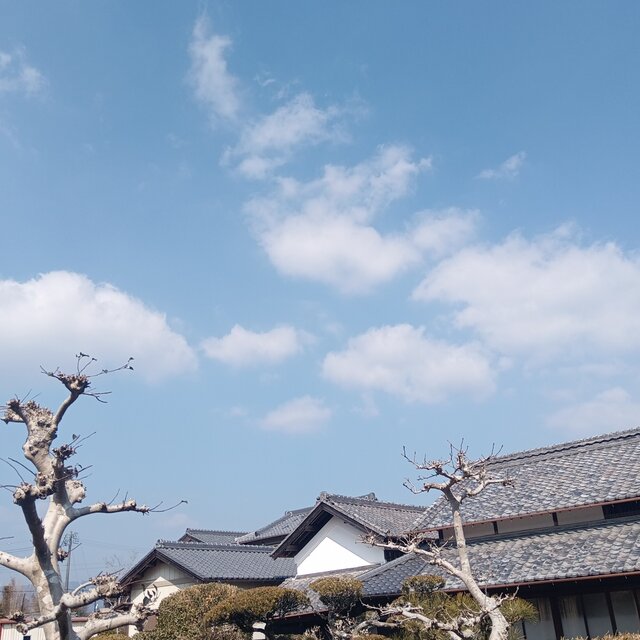 駆け足