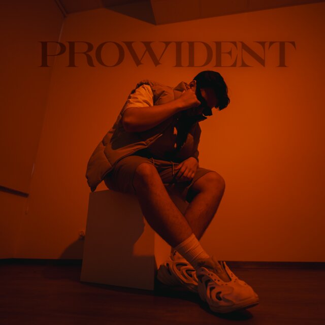 Prowident