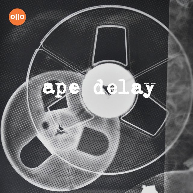 Ape Delay