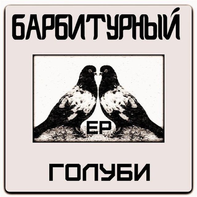 Голуби