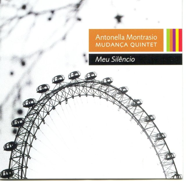 Meu Silencio