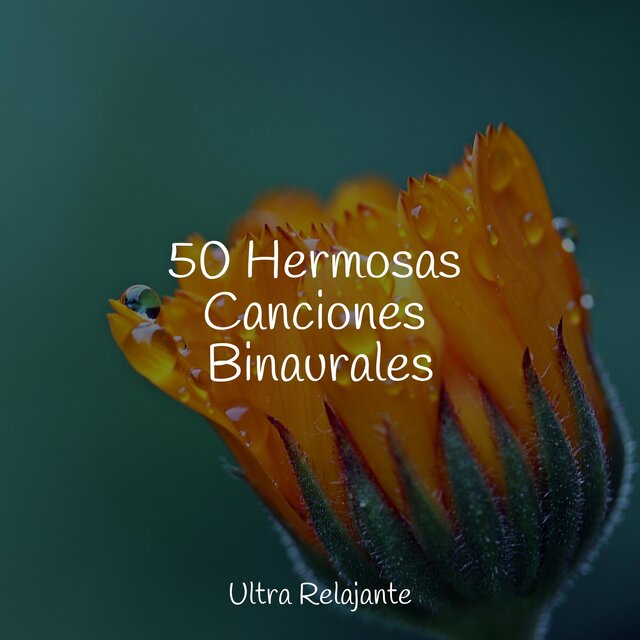50 Hermosas Canciones Binaurales