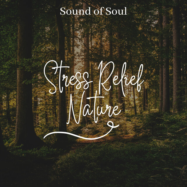 Stress Relief Meditation